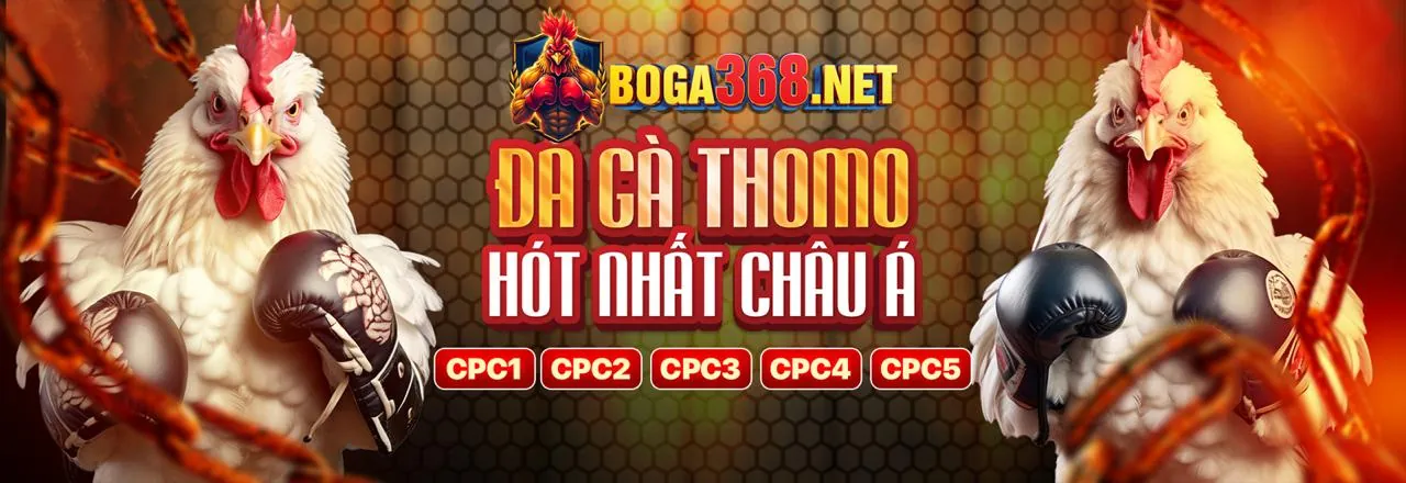 Các chương trình khuyến mãi hấp dẫn của vip666 đăng nhập